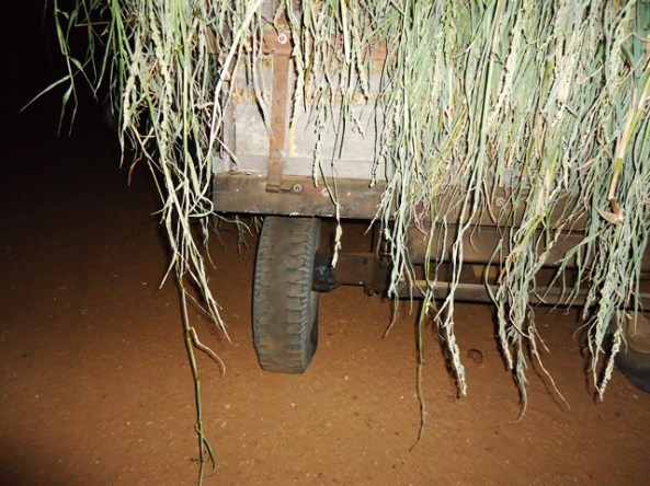 ???????????????????????????????