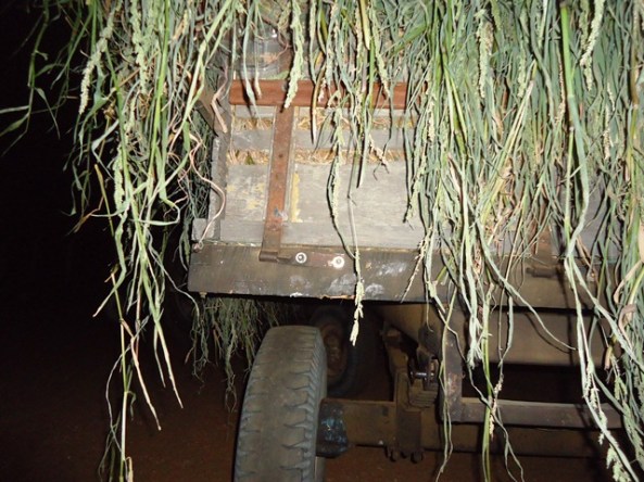 ???????????????????????????????