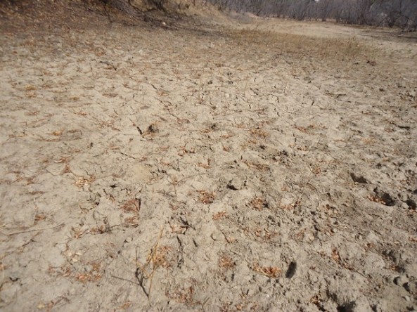 ???????????????????????????????