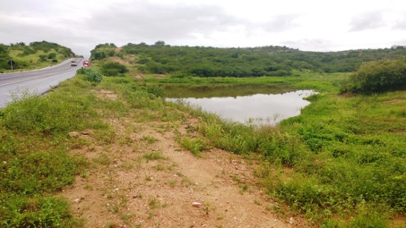 2017-04-30 06.47.19.jpg