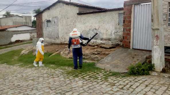Combate à dengue e muriçocas 01